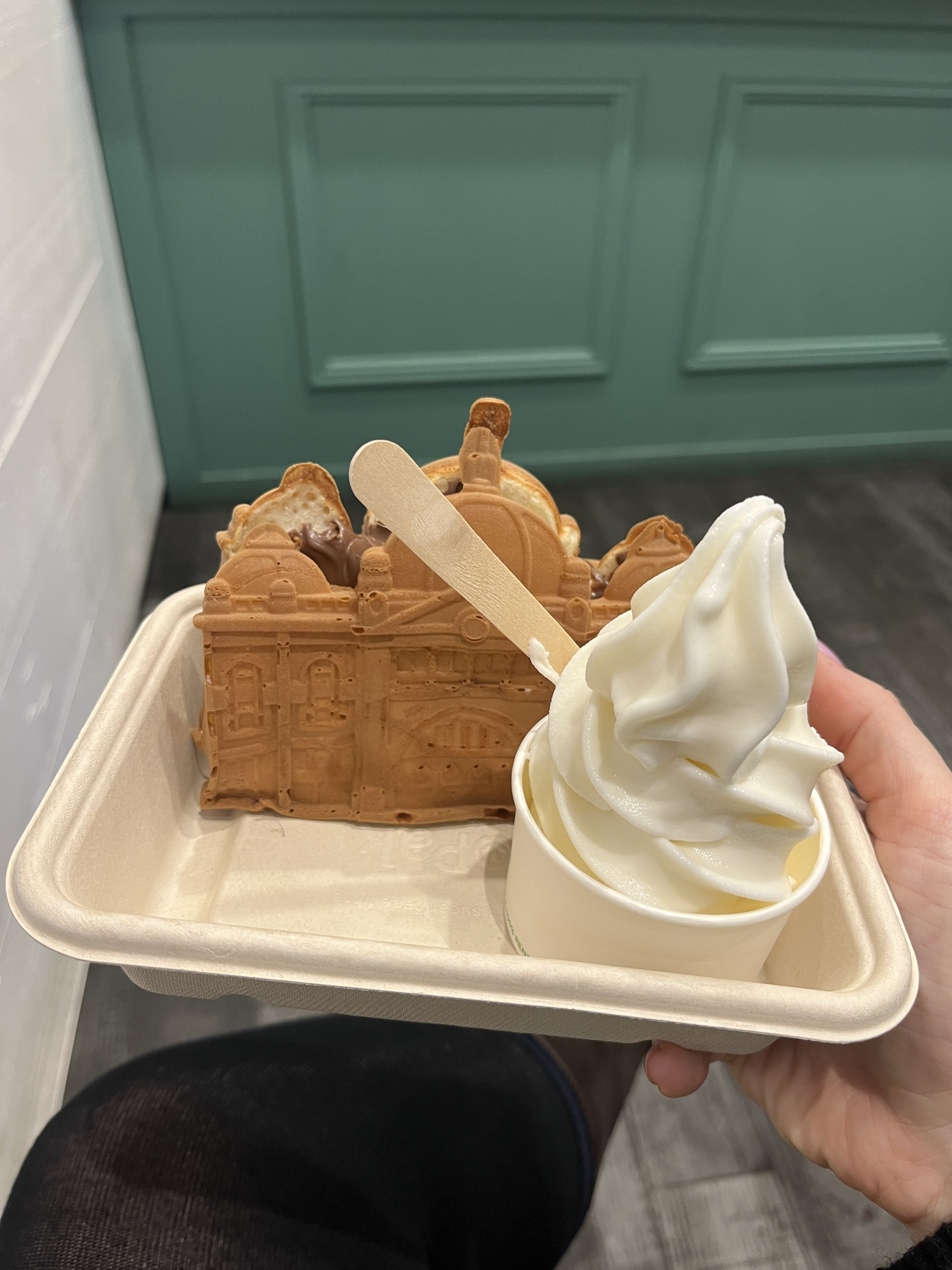 Australian Wattle Tree