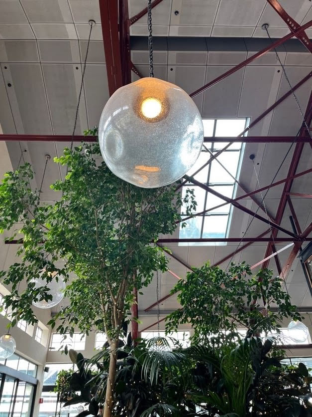 Coffee shop/bar interior/roof